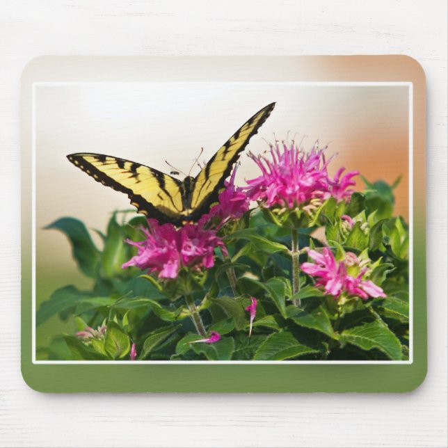 Eastern Tiger Swallowtail Butterfly Mouse Pad (Front)