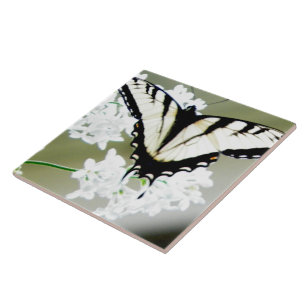 Eastern Tiger Swallowtail Butterfly Photo Ceramic Tile