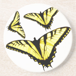 Eastern Tiger Swallowtail Butterfly Photo Drink Coaster