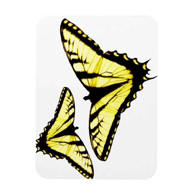 Eastern Tiger Swallowtail Butterfly Photo Magnet (Vertical)