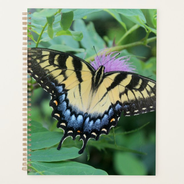 Eastern Tiger Swallowtail Butterfly Planner (Front)
