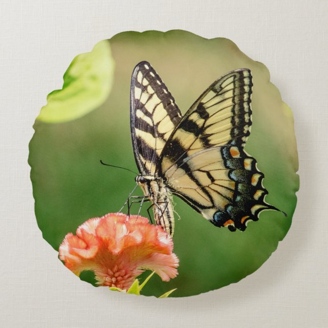 Eastern Tiger Swallowtail Butterfly Round Pillow (Front)