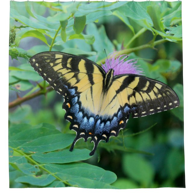 Eastern Tiger Swallowtail Butterfly Shower Curtain (Front)