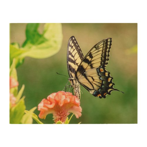 Eastern Tiger Swallowtail Butterfly Wood Wall Art