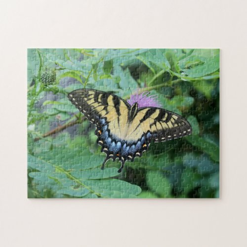Eastern Tiger Swallowtail Jigsaw Puzzle