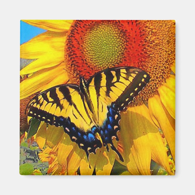 Eastern Tiger Swallowtail , magnet (Front)