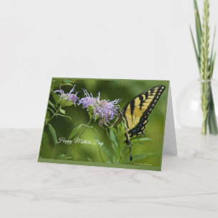 Eastern Tiger Swallowtail Mother's Day Card