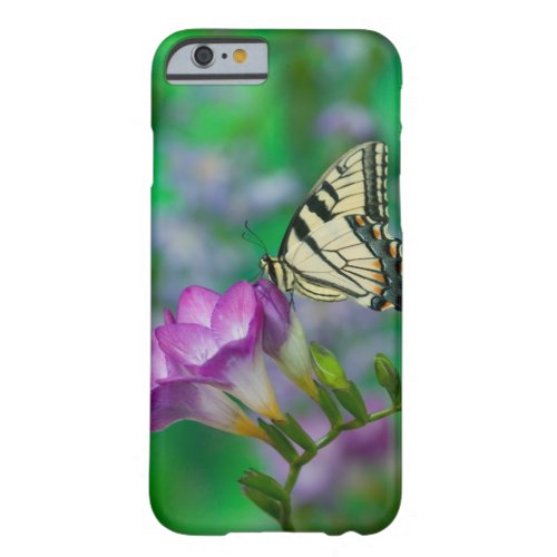 Eastern Tiger Swallowtail on Fresia _ Sammamish Barely There iPhone 6 Case