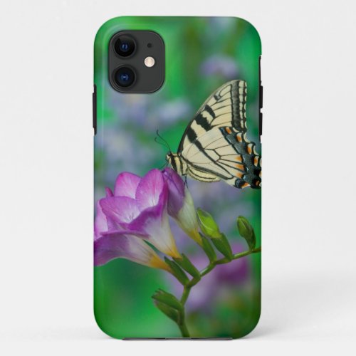 Eastern Tiger Swallowtail on Fresia _ Sammamish iPhone 11 Case