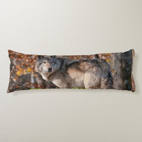 Eastern Timber Wolf  Body Pillow