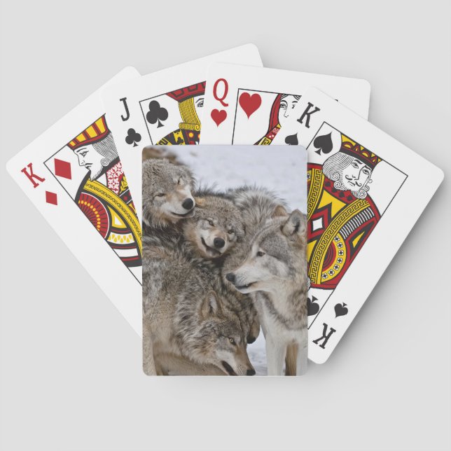 Eastern Timber Wolf Poker Cards (Back)