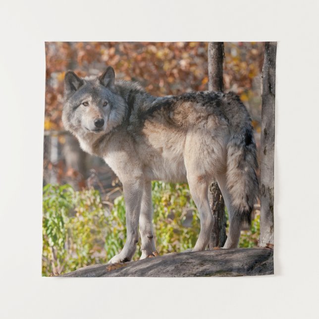 Eastern Timber Wolf  Tapestry (Front)