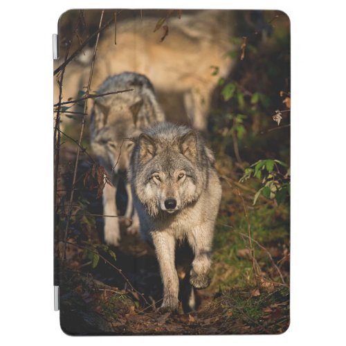 Eastern Timber Wolves iPad Air Cover