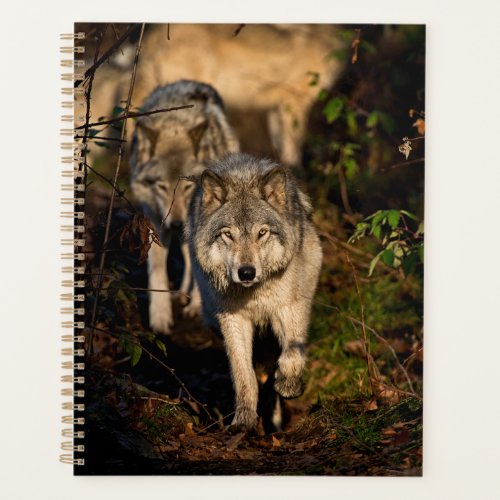 Eastern Timber Wolves Planner