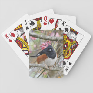Eastern Towhee Glare Playing Cards
