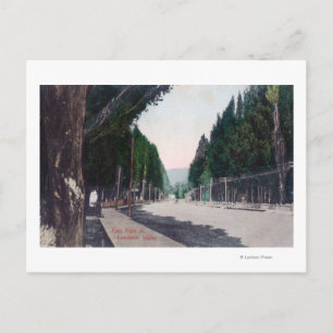 Eastern View on Main StreetLewiston, ID Postcard