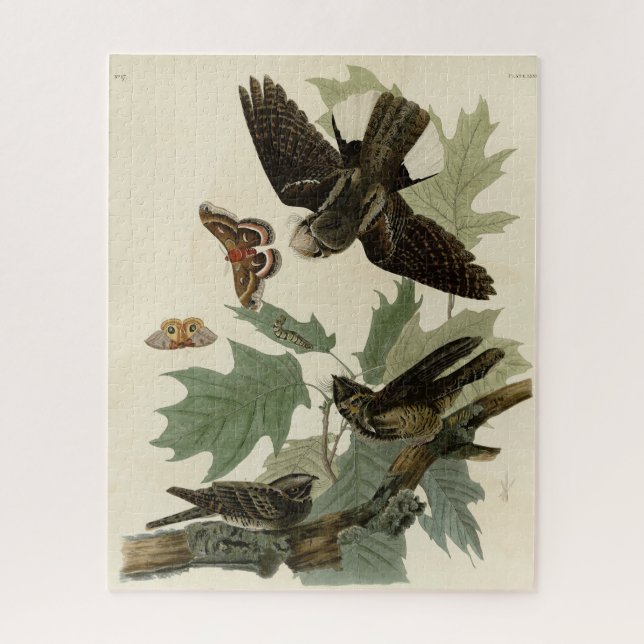 Eastern Whip-poor-will, Audubon's Birds of America Jigsaw Puzzle (Vertical)