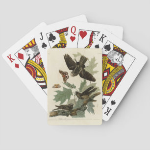 Eastern Whip-poor-will, Audubon's Birds of America Poker Cards