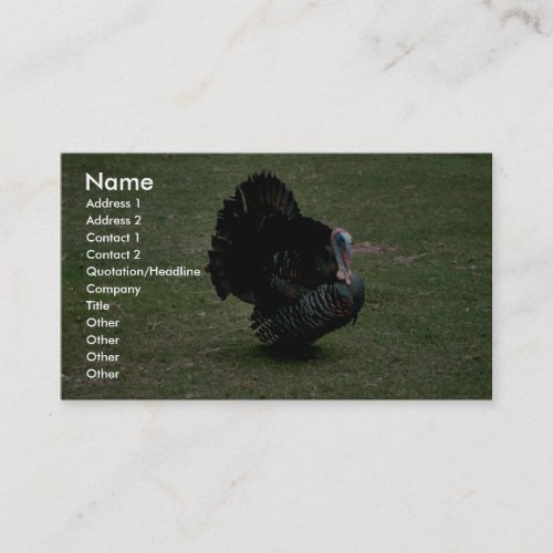 Eastern Wild Turkey Business Card Template