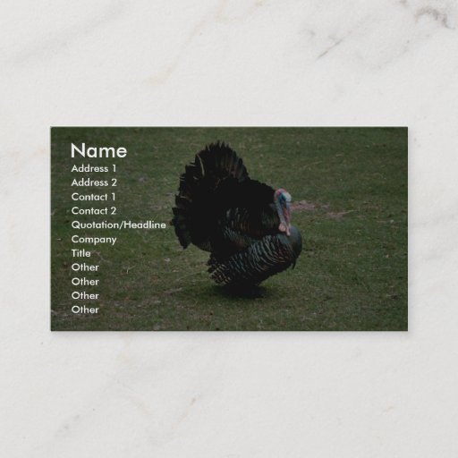 Customizable Eastern Wild Turkey Business Card Template