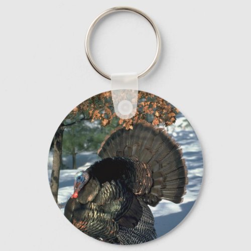 Eastern wild turkey huge gobbler in full strut keychain