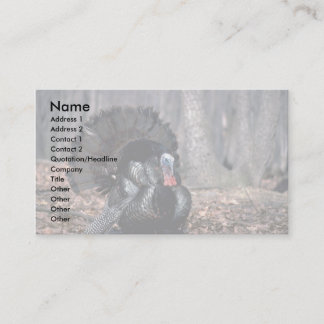 Eastern wild turkey strutting in woods business card