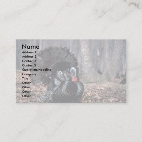 Eastern wild turkey strutting in woods business card templates