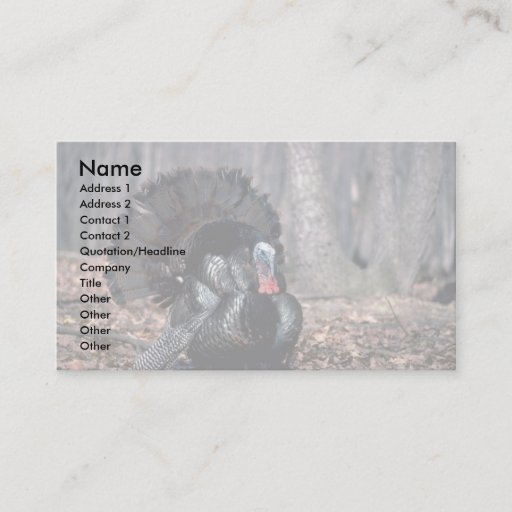 Customizable Eastern wild turkey strutting in woods business card templates