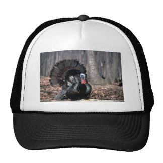 Wild Turkey Hats and Wild Turkey Trucker Hat Designs