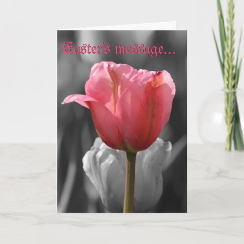 Easters Message pink tulip bw greeting card