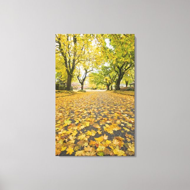 Eastmoreland In Autumn road and tree view Canvas Print (Front)
