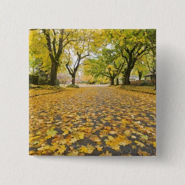 Eastmoreland In Autumn road and tree view Pinback Button (Front)