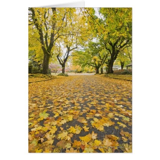 Eastmoreland Neighborhood In Autumn (Front)