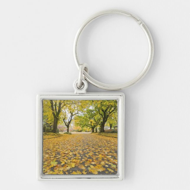 Eastmoreland Neighborhood In Autumn Keychain (Front)