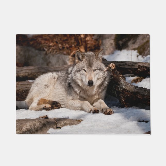 Easttern Gray Wolf Doormat (Front)
