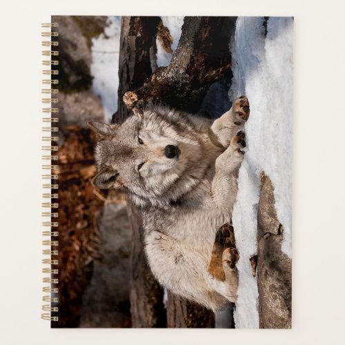 Easttern Gray Wolf Planner