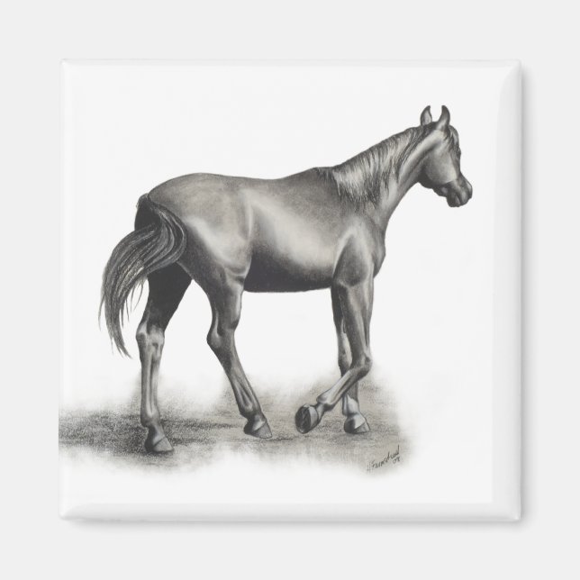 Easy Afternoon Magnet (Front)