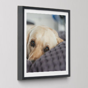 Easy Create Your Personalized Photograph Peel And Stick Photo Tile