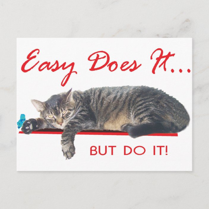 easy does it aa slogan postcard Zazzle com