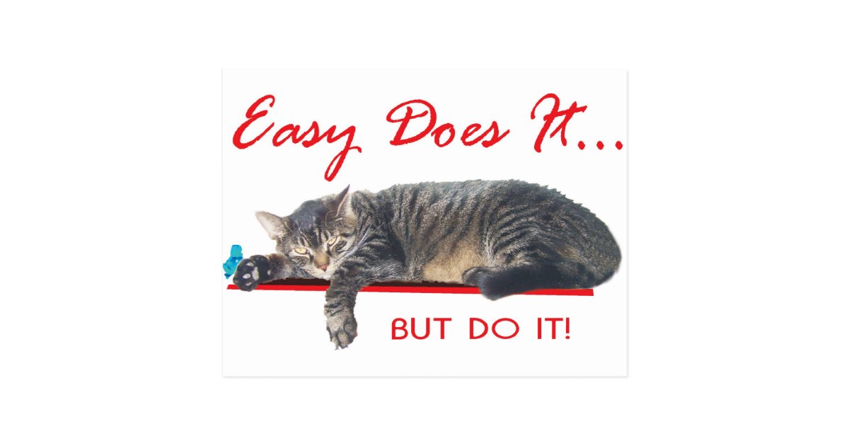 easy does it aa slogan postcard Zazzle com