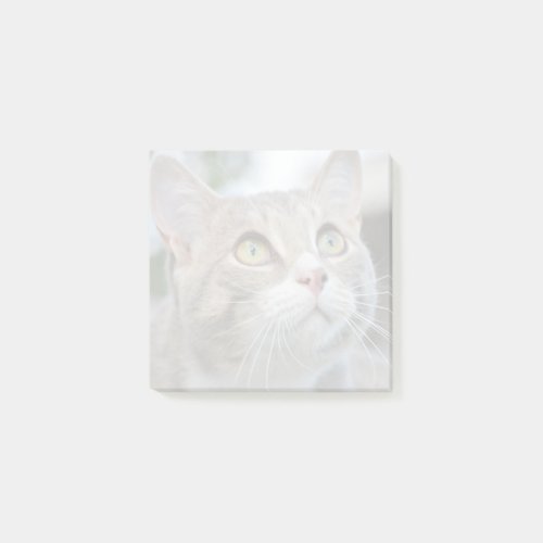 Easy Make Your Own Faded Pet Photo Post It Notes