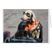 Easy rider (Front Horizontal)