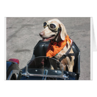 Easy rider cards