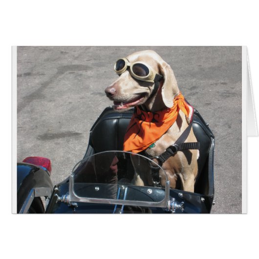 Easy rider cards (Front Horizontal)