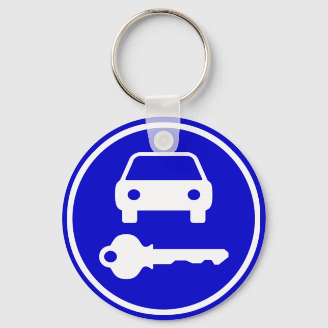 Easy to Find Spare Car Keys with Icons Keychain (Front)