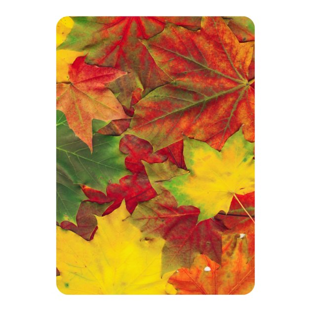 Eat Drink & Give Thanks Fall Leaves Celebration Card