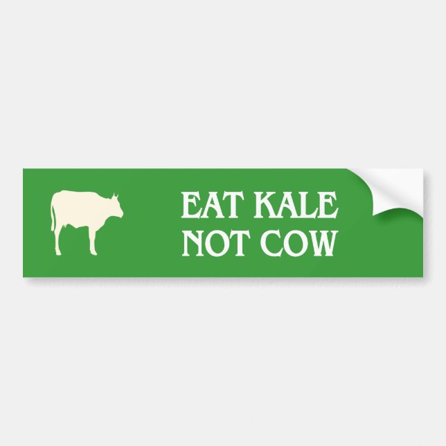 eat kale not cow vegan bumper sticker (Front)