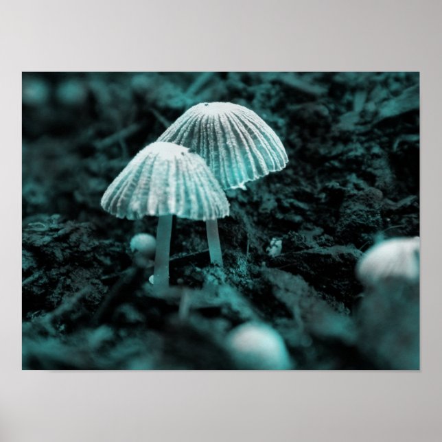 Eat Me... Drink Me... Poster (Front)