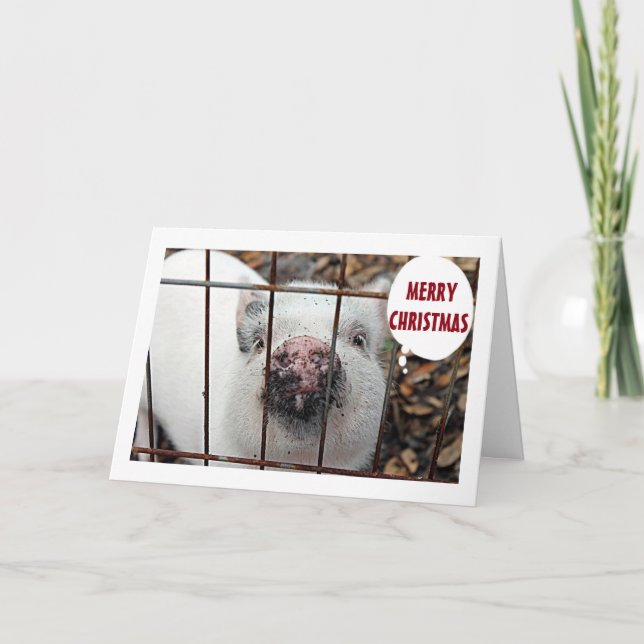 "EAT MORE CHICKEN AND MERRY CHRISTMAS FROM PIG HOLIDAY CARD (Front)