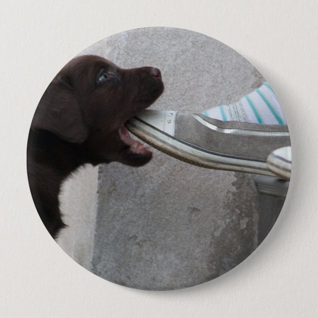 Eat My Shoe! Labrador Puppy Button (Front)